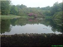 812383_089992f9_213x160.jpg