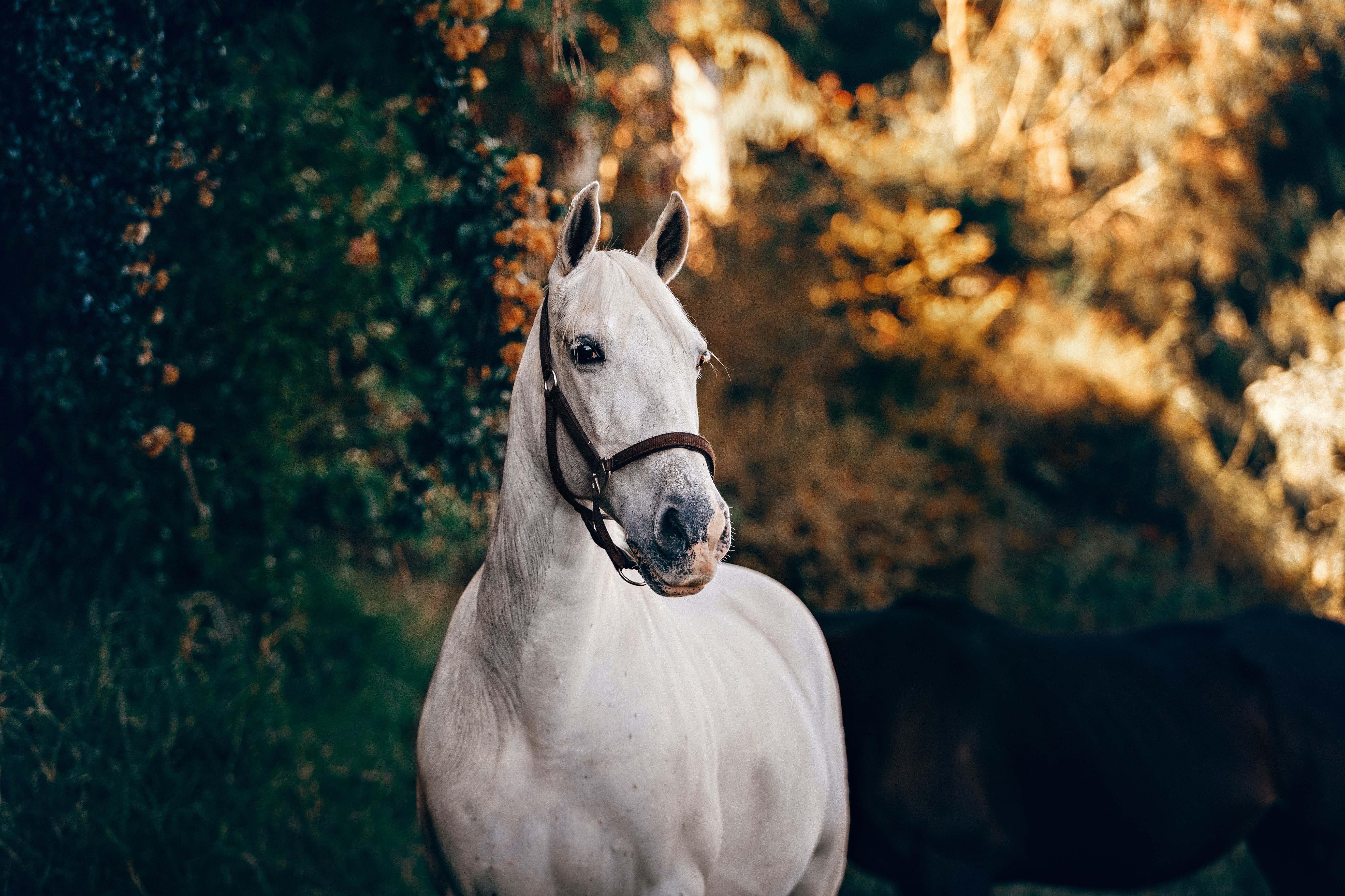 helena-lopes-rotyxo1m0wo-unsplash.jpg