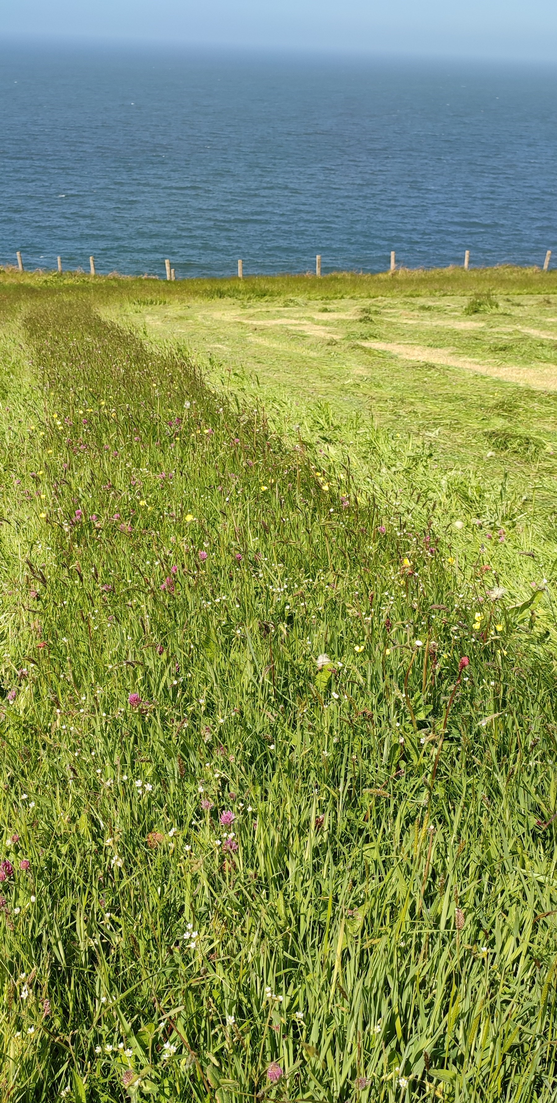 fieldmargin.jpg