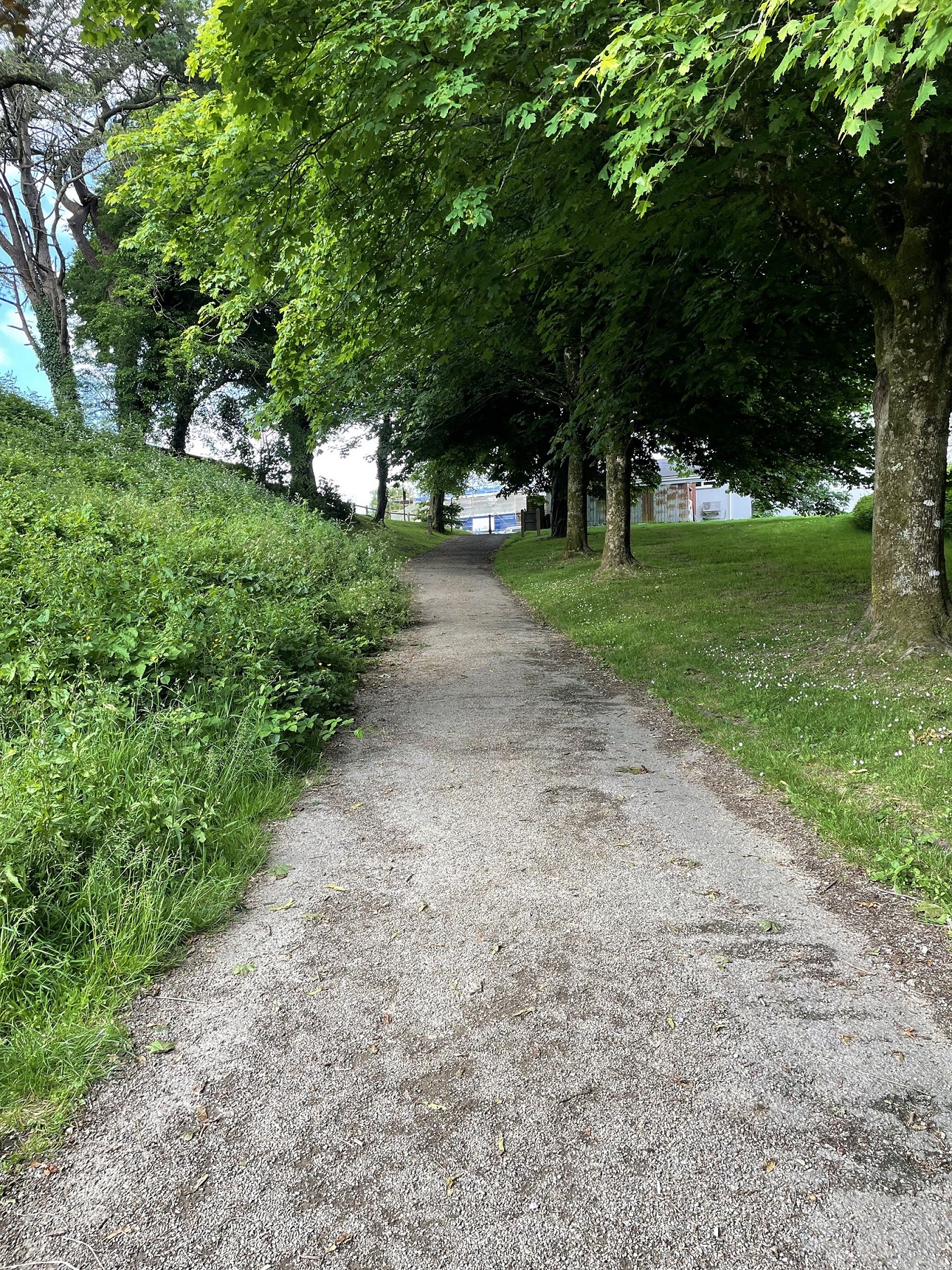 carding-mill-lane-120723.jpg