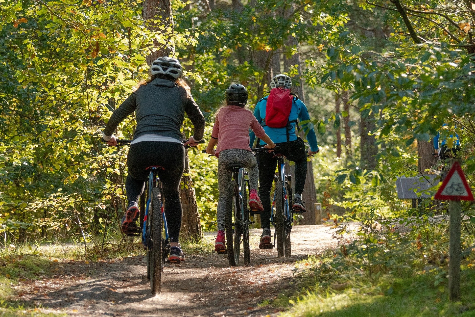 cycling-woodland.jpg