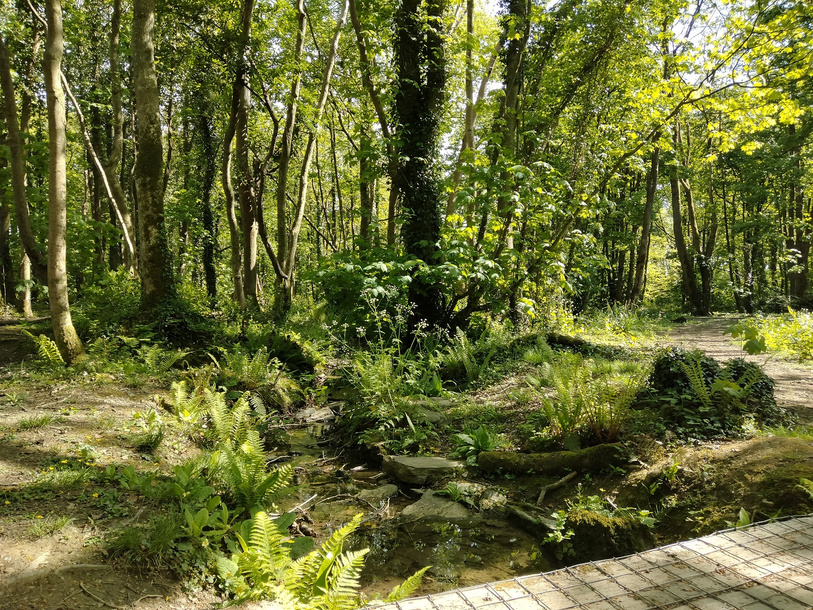 footbridge.jpg